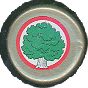 Eichbaum