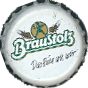 Braustolz