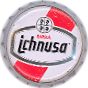 Ichnusa