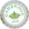  Gambrinus