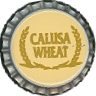 Calusa Wheat