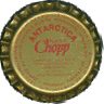 Antarctica Chopp